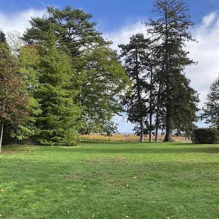 Manoir De Villamont Savigny-lès-Beaune Eksteriør bilde